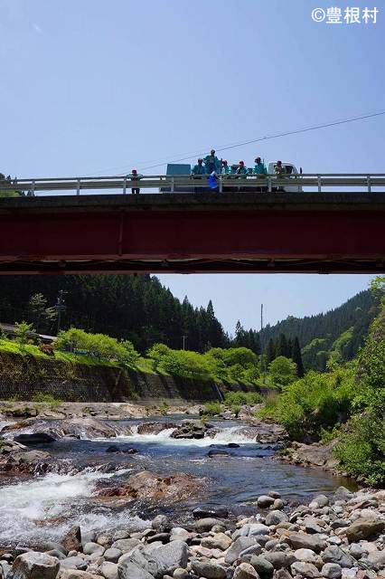 大入川にて稚魚の放流