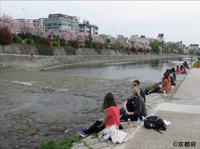 鴨川 花の回廊を眺めながら