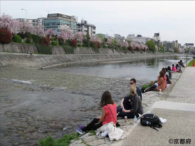 鴨川　花の回廊を眺めながら