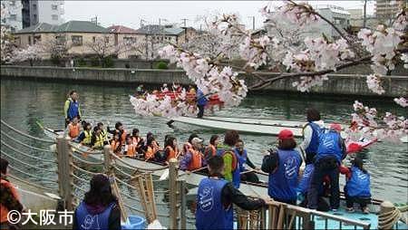 桜の季節の城北川