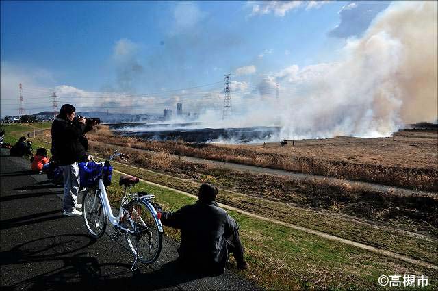 淀川 鵜殿のヨシ原焼き