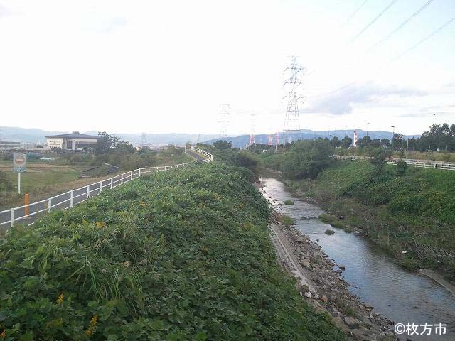 穂谷川の自然巡回路