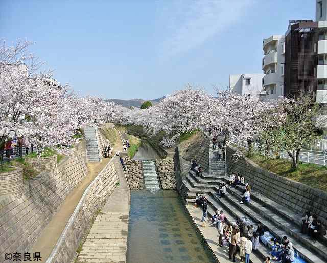 春の水辺の楽校