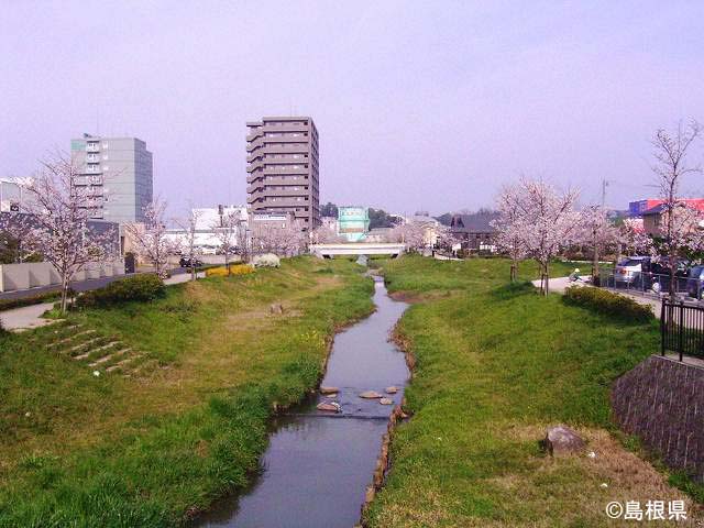 都市をせせらぐ赤川