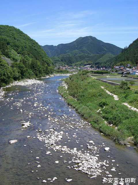 香草の太田川