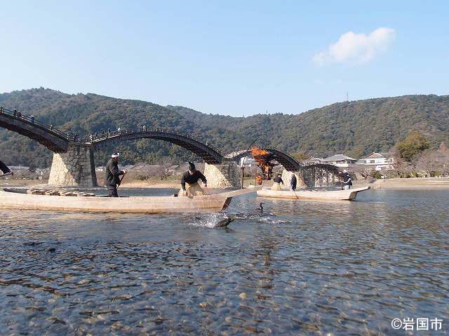 清流錦川と錦帯橋の鵜飼