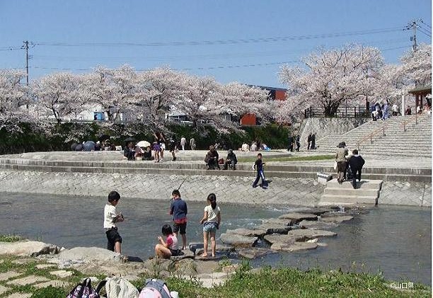 桜の季節の美祢さくら公園