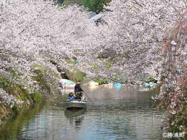 勝浦町