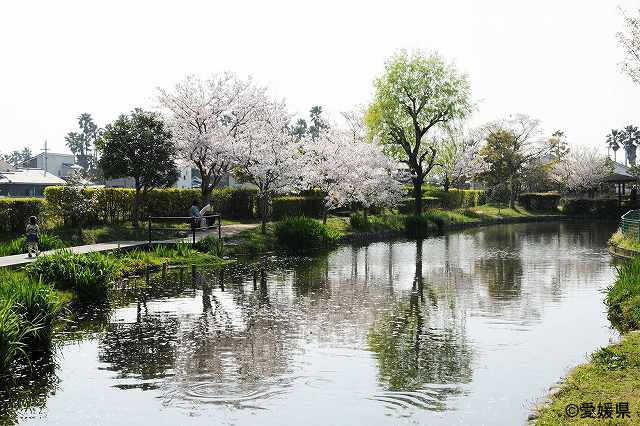 重信川の伏流水が湧き出す泉-ひょこたん池公園ｰ