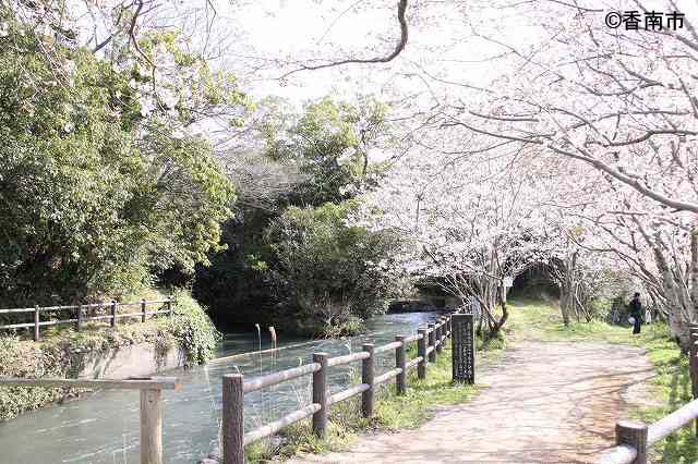 遺構を残す用水路「三又」