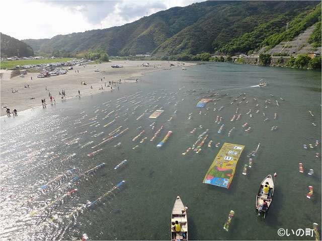 仁淀川紙のこいのぼり