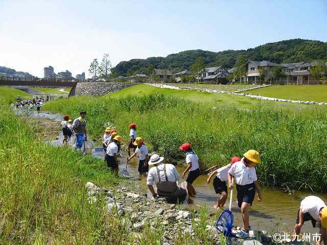 板櫃川水辺の楽校～学習プログラム～