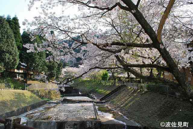 憩いの水源地