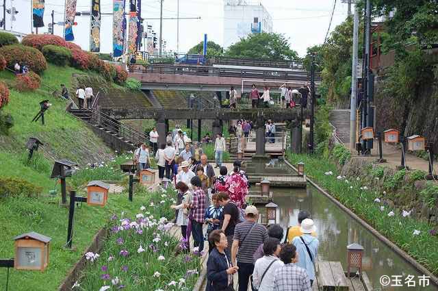 花しょうぶの季節の裏川