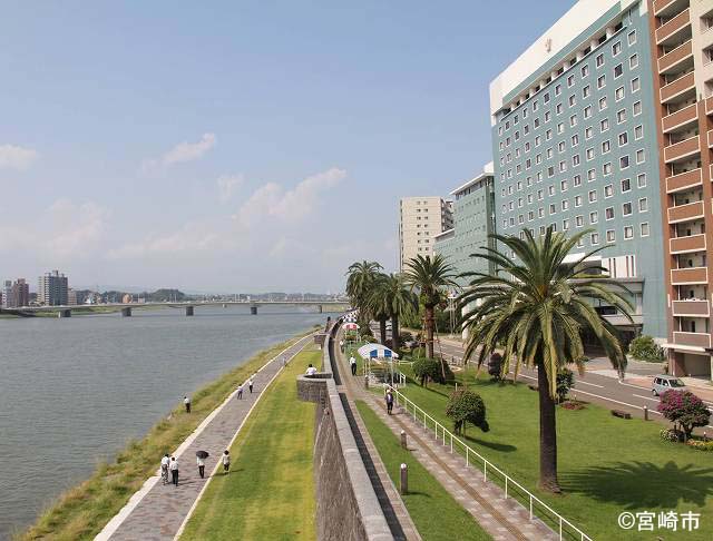 大淀川橘公園の風景