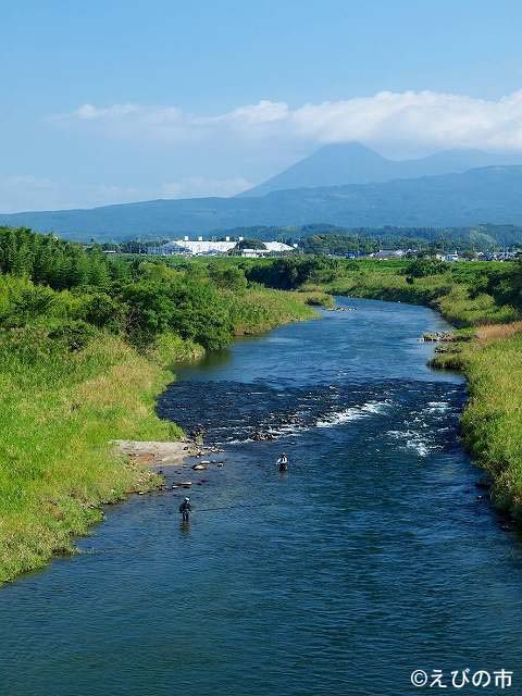 川内川の清流を楽しむ