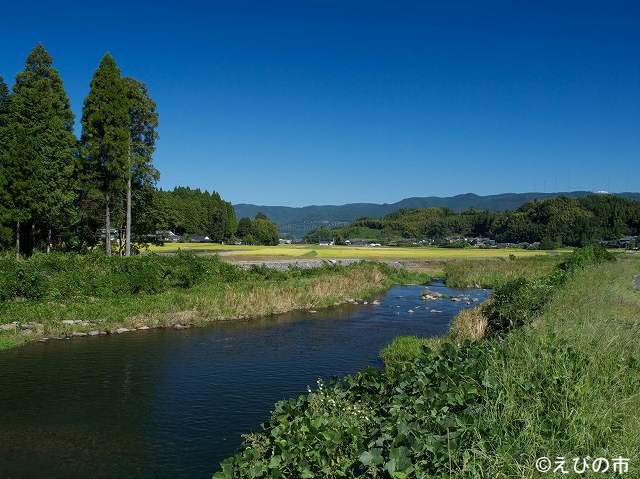 里山を潤す清流、長江川