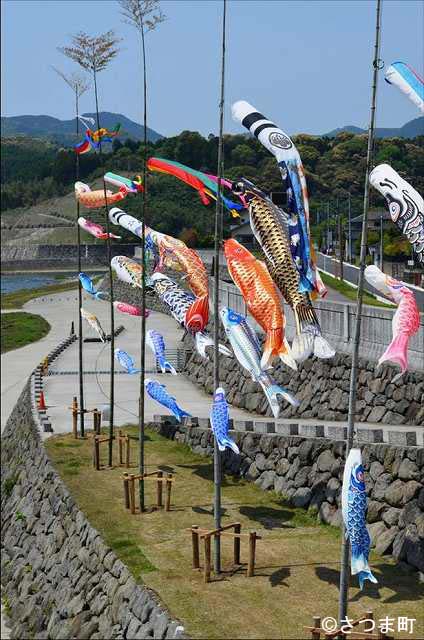 河川敷での鯉のぼり