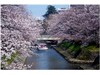 春の松川