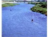 鮎釣りの季節の日野川