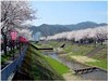 桜の季節の与保呂川<br />