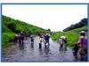 芥川の夏～親子で魚とり～