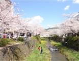古くから親しまれる一の坂川