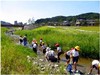 板櫃川水辺の楽校～学習プログラム～