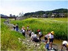 板櫃川水辺の楽校～学習プログラム～