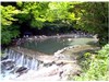 落合川の自然プール
