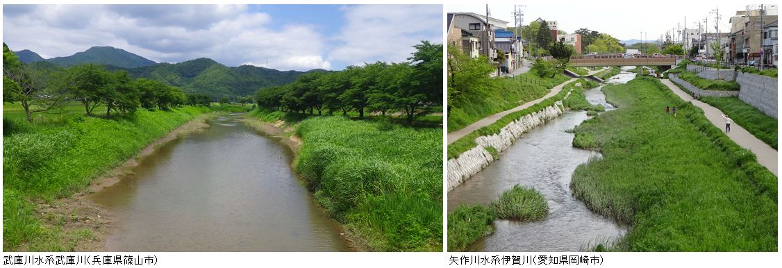 多自然川づくりとは 多自然川づくり 環境 国土交通省水管理 国土保全局