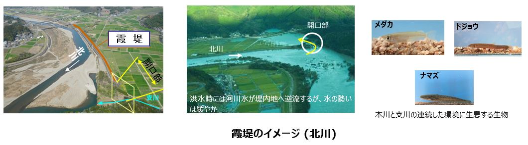 霞堤のイメージ (北川)