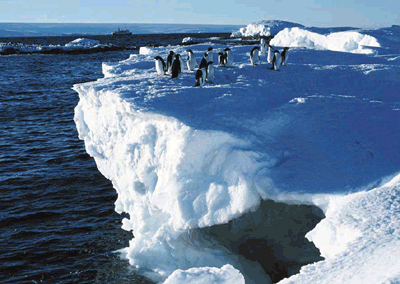 南極、氷山とペンギン