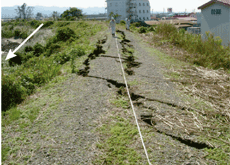 中之島町五百刈堤防天端亀裂
