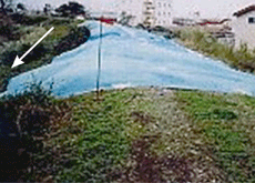 中之島町五百刈応急復旧完了
