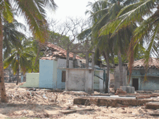 インド洋大津波・スマトラ沖地震による被災状況(スリランカ)