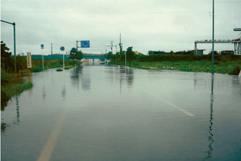 高崎川の越水状況（千葉県佐倉市）