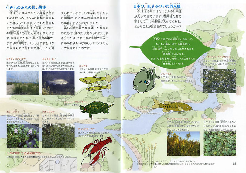 川の自然をみつめてみよう