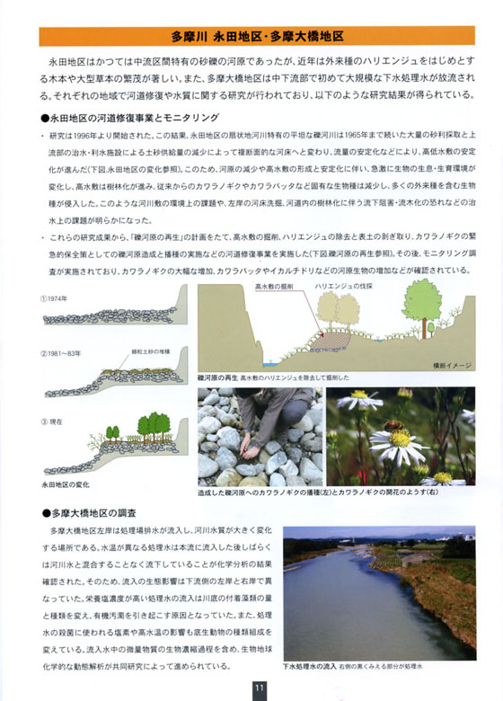 ʁFicnE勴n
