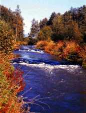 Image3-1-4