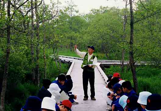 Image3-11