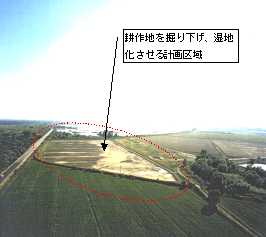 Image3-3-1