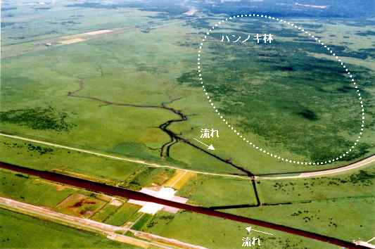 Image3-4-1