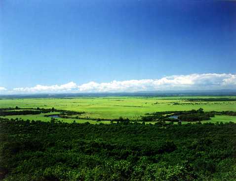 Image3-8