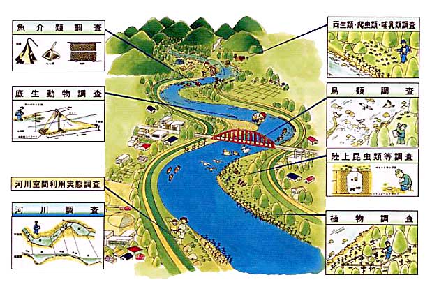 河川 水辺 の 国勢 調査 マニュアル