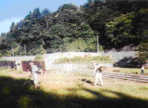 施設内の除草作業