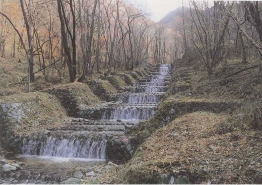 KiHi쌧{sj