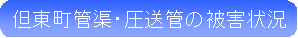 AǋEǂ̔Q