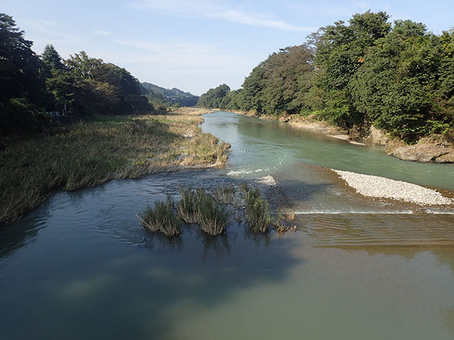 神 流川