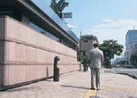 ʐ^